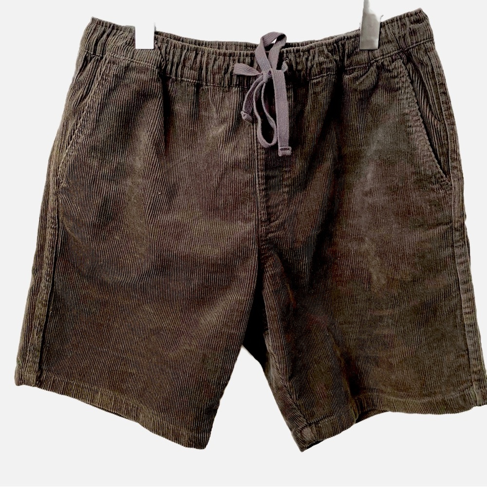 Katin Men's Corduroy Shorts in Dark Brown